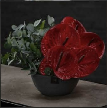 Modern Floral Arrangement - $250 (Style 2)